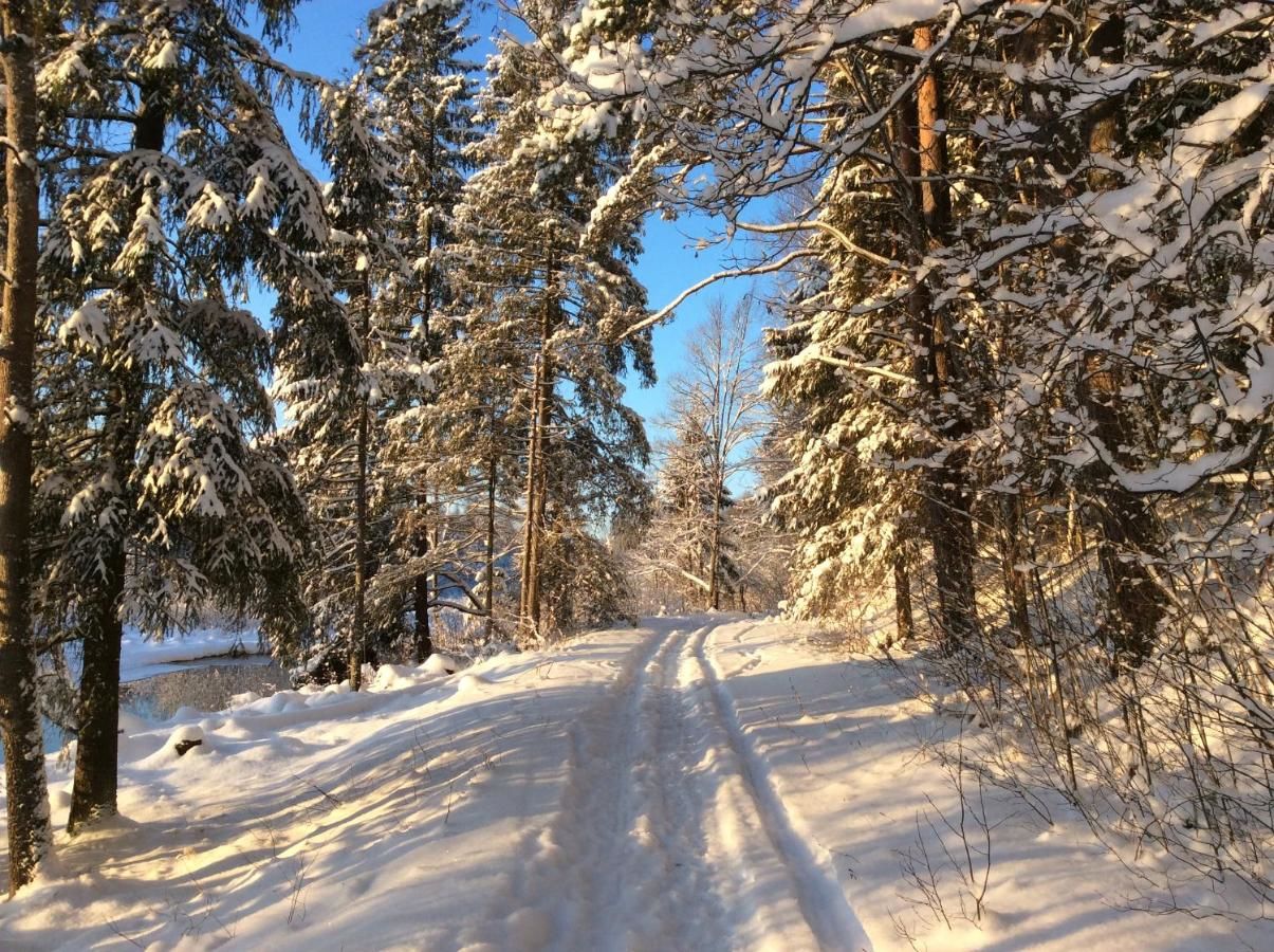 Гостевой дом Kivi Turismitalu Варди-5